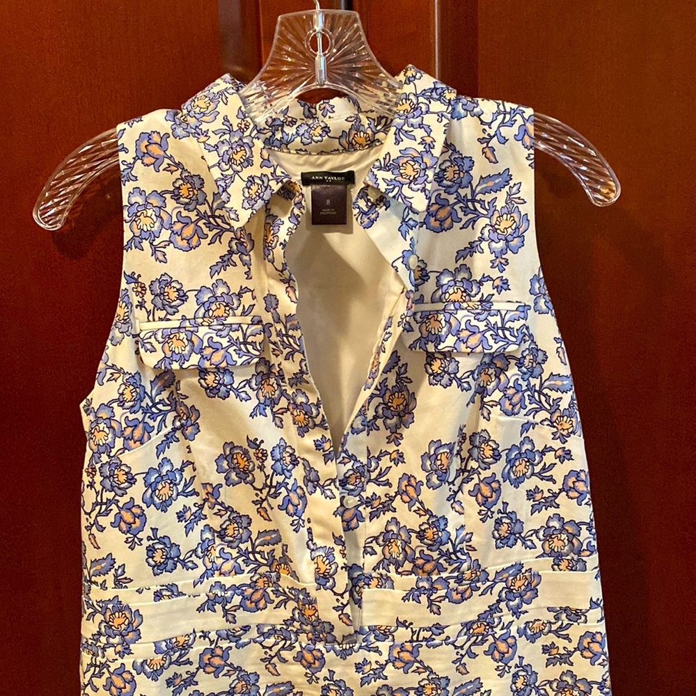 Ann Taylor Dress